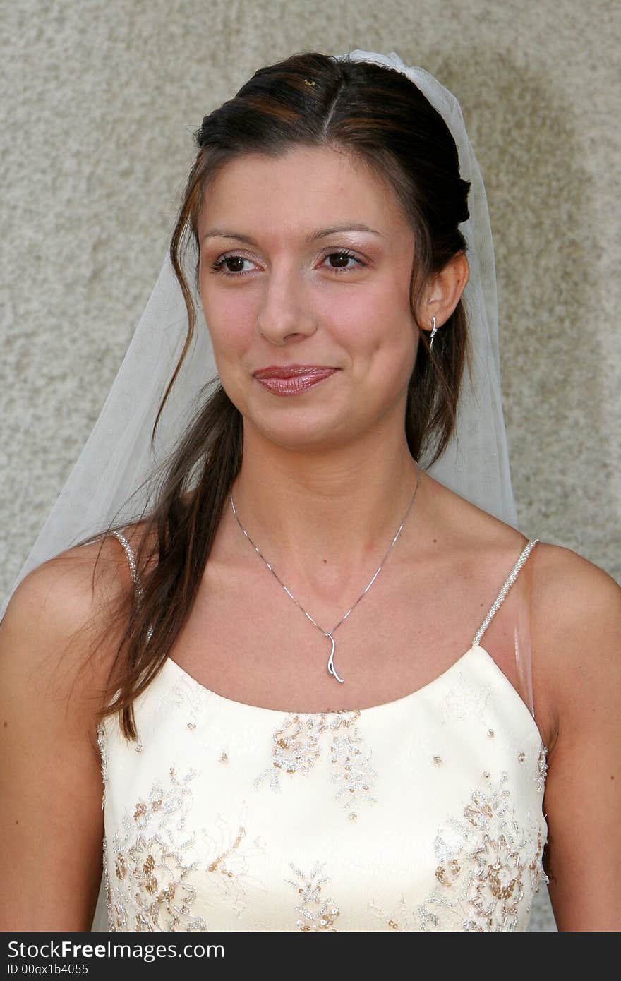 Young bride posing in the wedding day