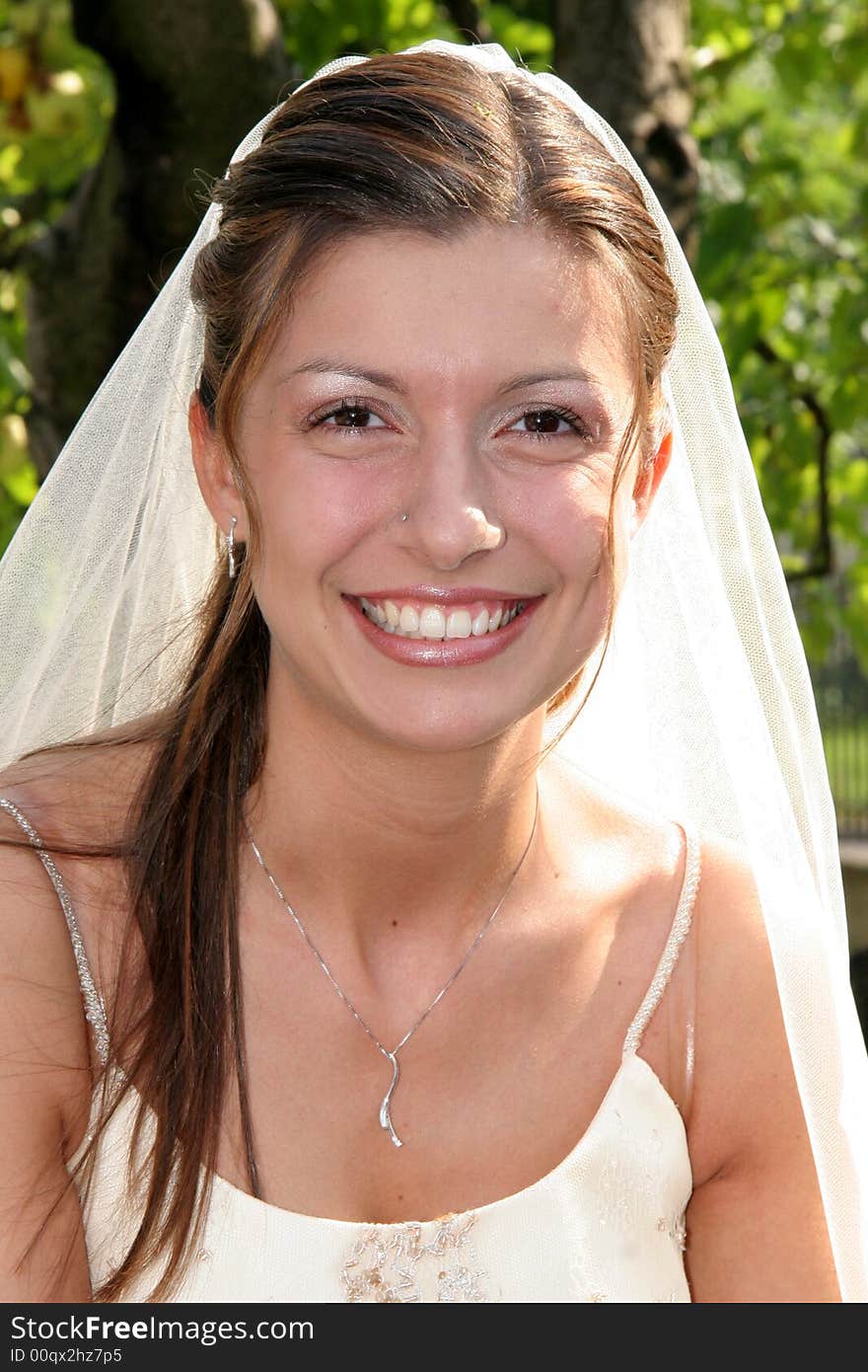 Young bride posing in the wedding day. Young bride posing in the wedding day