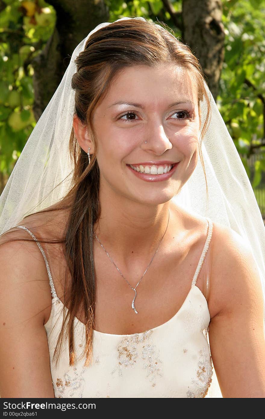 Young bride posing in the wedding day. Young bride posing in the wedding day