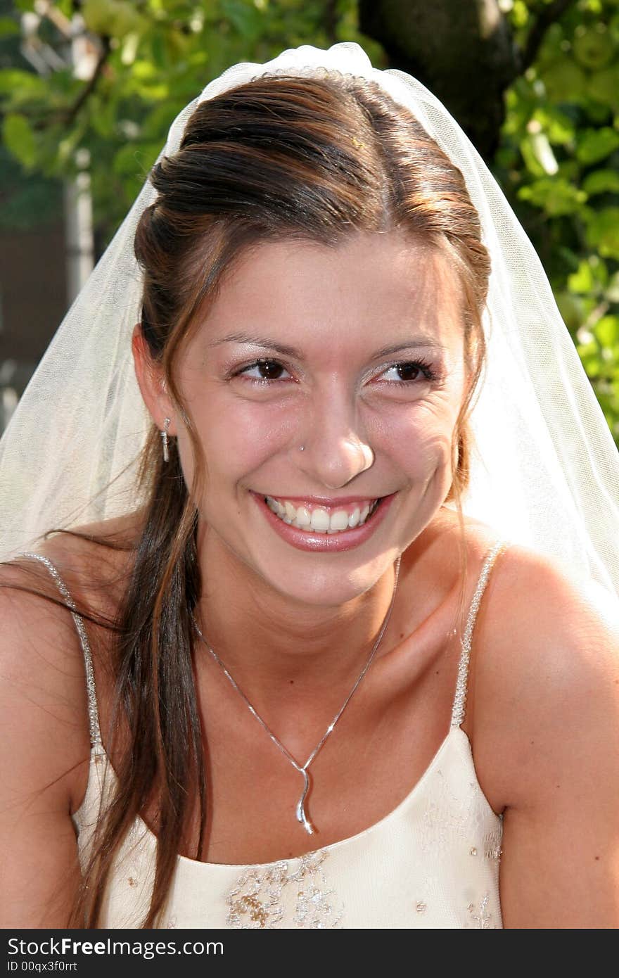 Young bride posing in the wedding day. Young bride posing in the wedding day