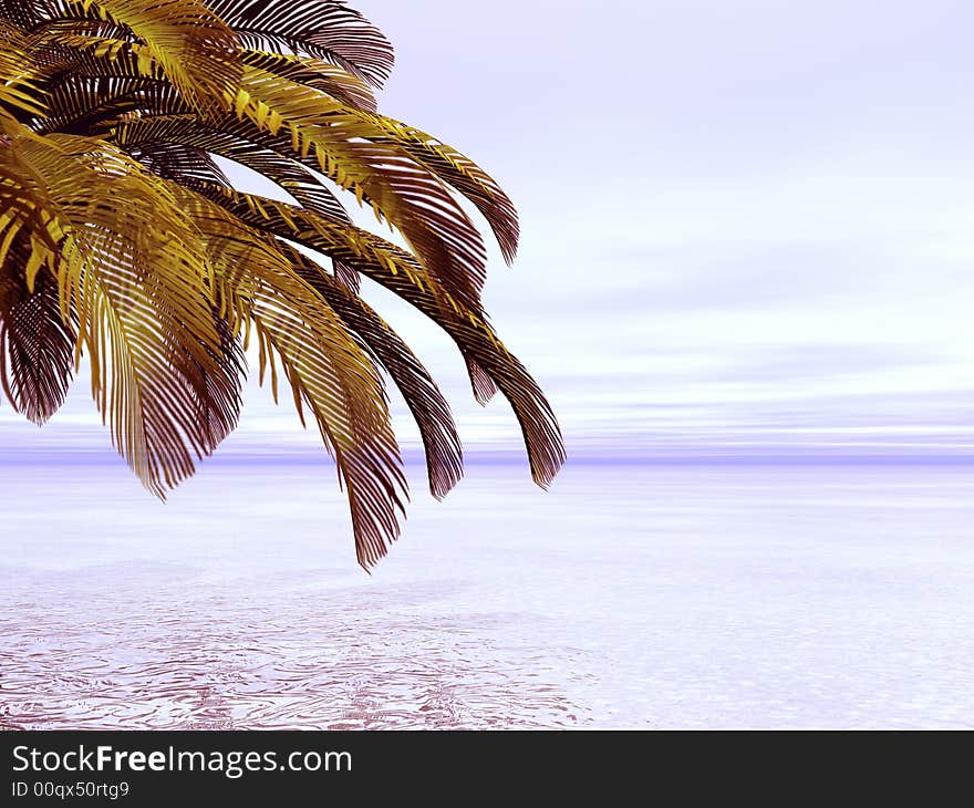 Beautiful summer seascape with palm. Beautiful summer seascape with palm