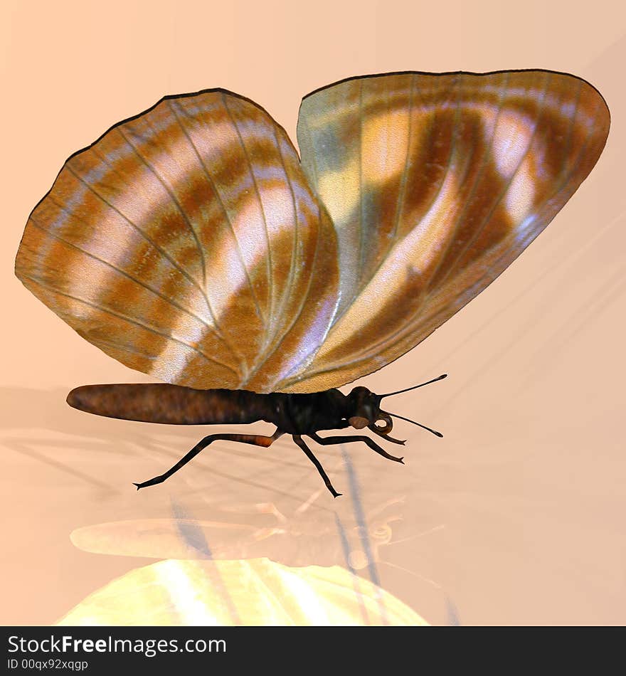 Rendered image of a beautiful butterfly - with Clipping Path. Rendered image of a beautiful butterfly - with Clipping Path