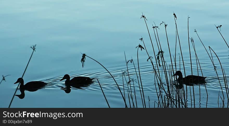 Floating Along