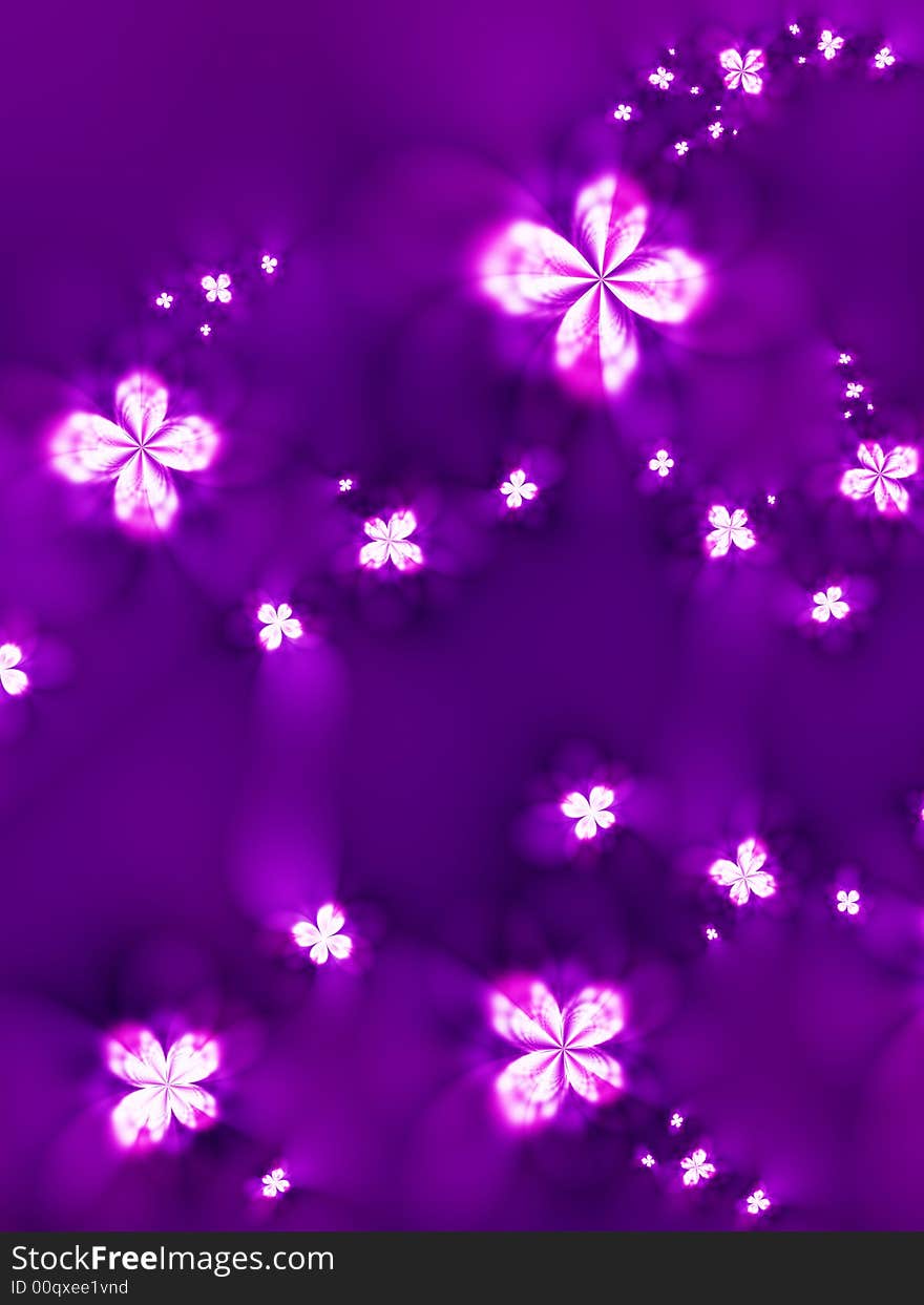 Beautiful flowers on a dark background