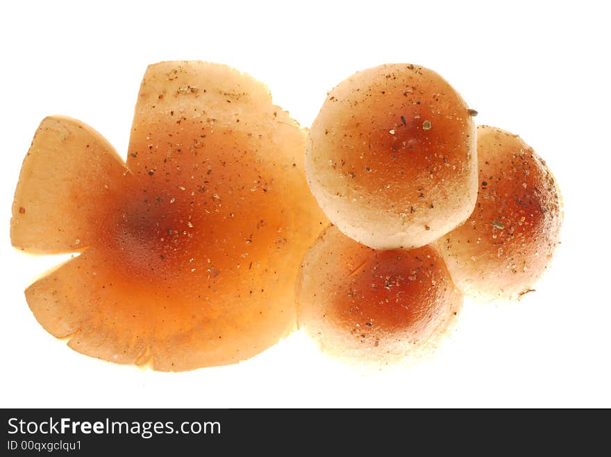 Close up of mushroom on white background