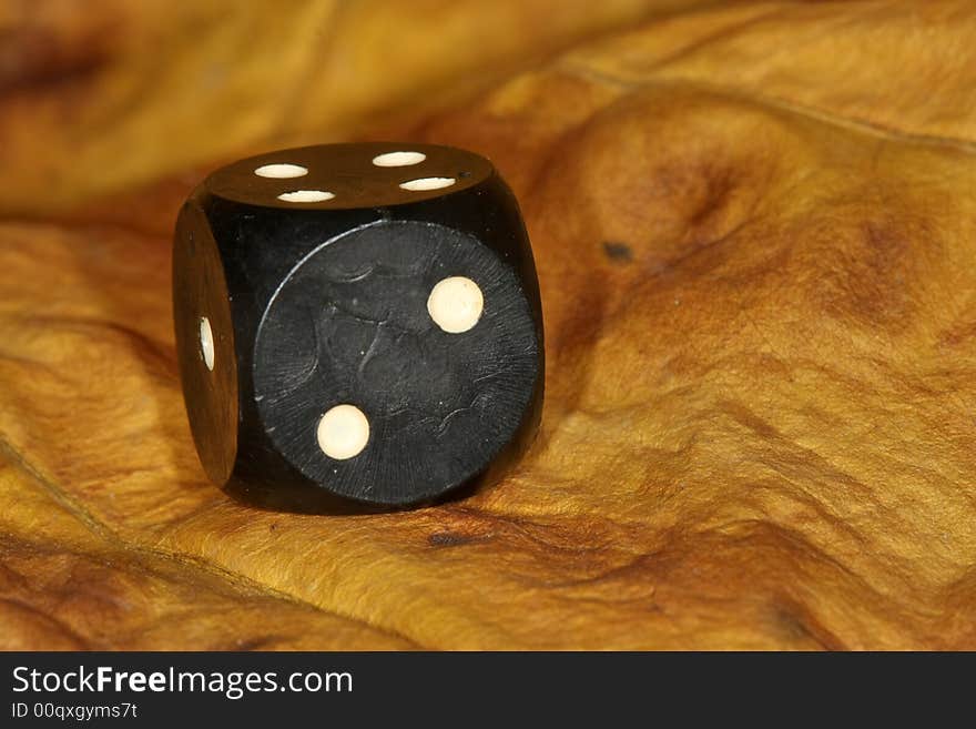 Black dice on dry yellow leaf. Black dice on dry yellow leaf