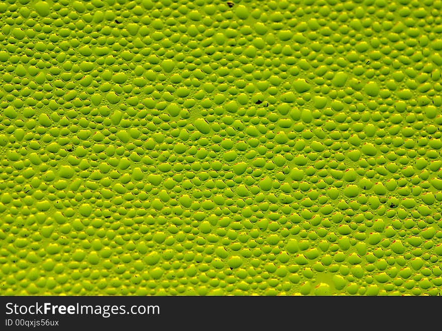 Close-up of water drops on glass (Background)