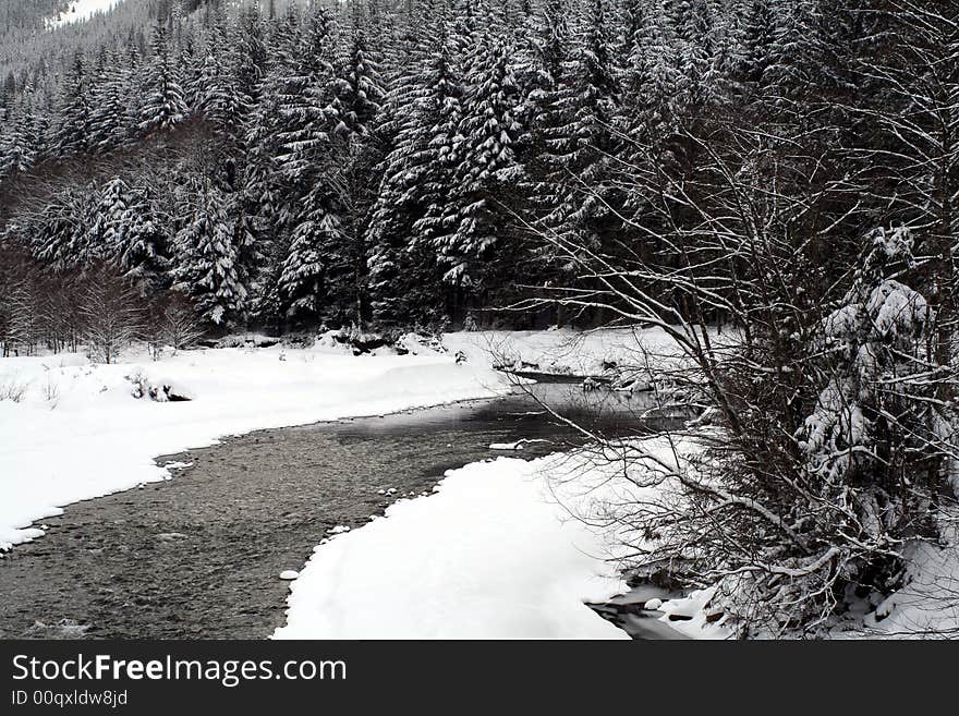 Mountain Stream