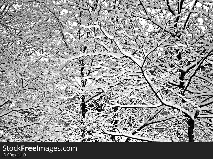 Stock image of a snowing winter at Boston, Massachusetts, USA. Stock image of a snowing winter at Boston, Massachusetts, USA