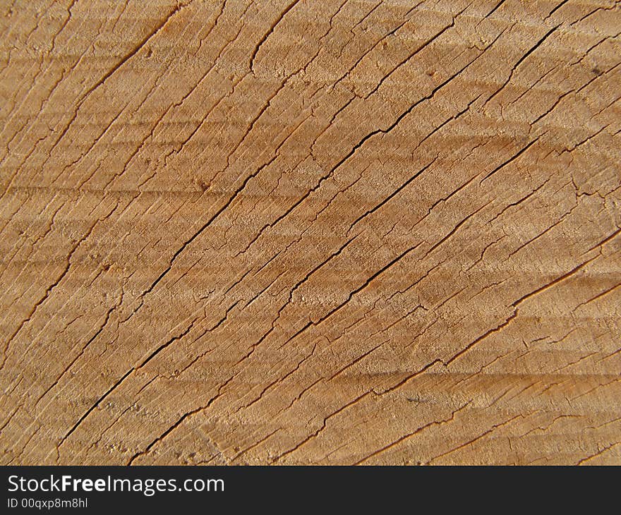 Closeup photo of wooden age rings. Closeup photo of wooden age rings