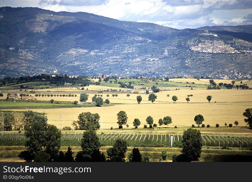 Field with mountain