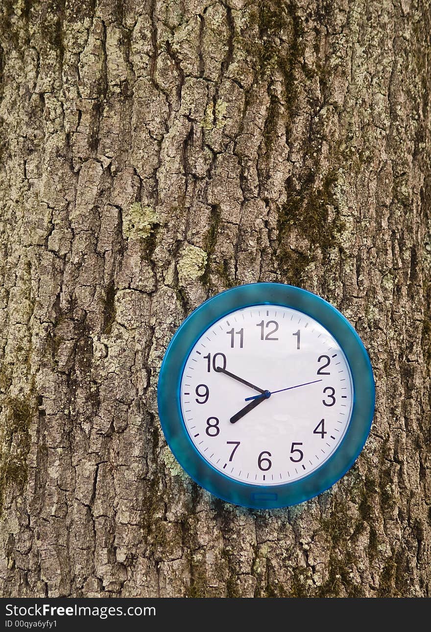 Clock in a tree