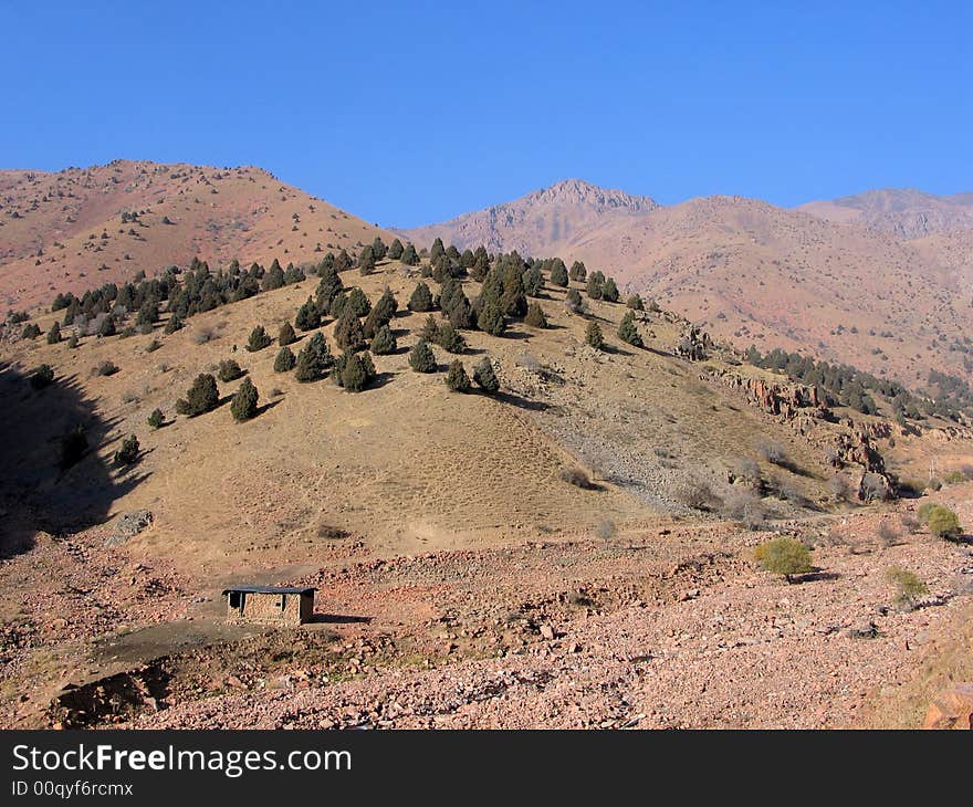 Cabin, hill and juniper forest on far mountains and sky background. Cabin, hill and juniper forest on far mountains and sky background