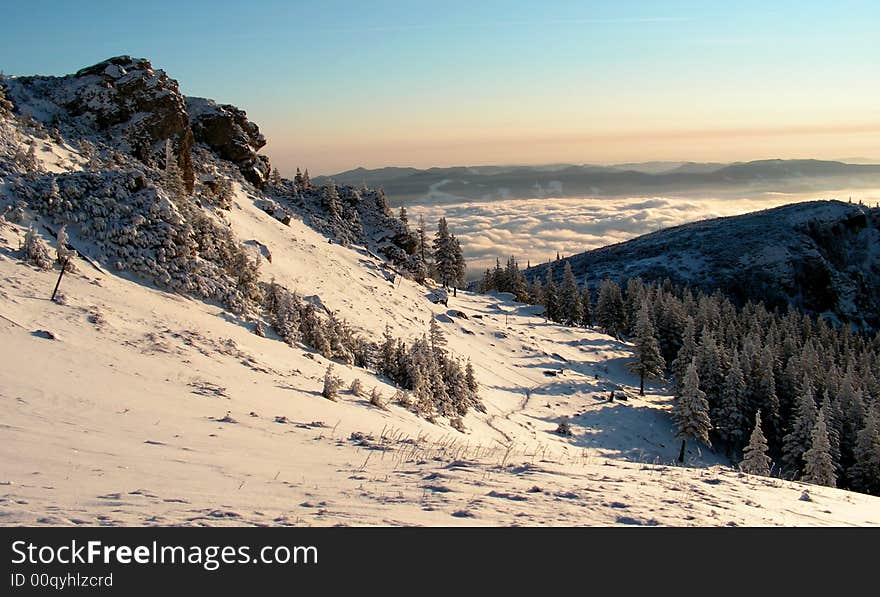 Winter morning