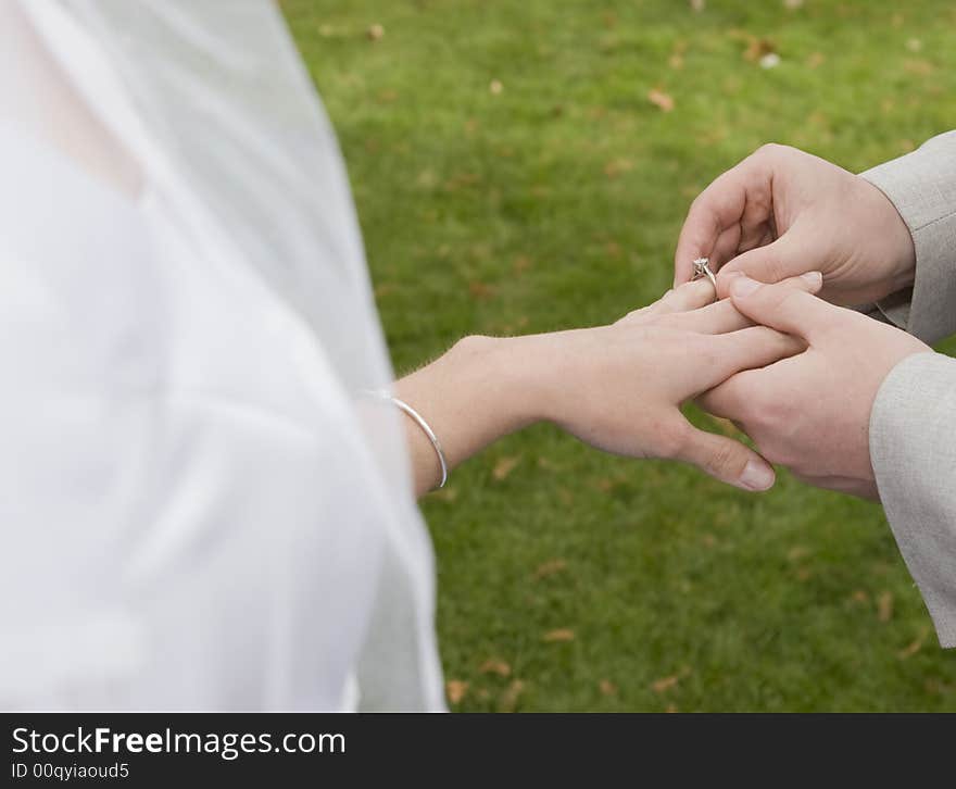 Hands of groom placing ring on bride's finger. Hands of groom placing ring on bride's finger