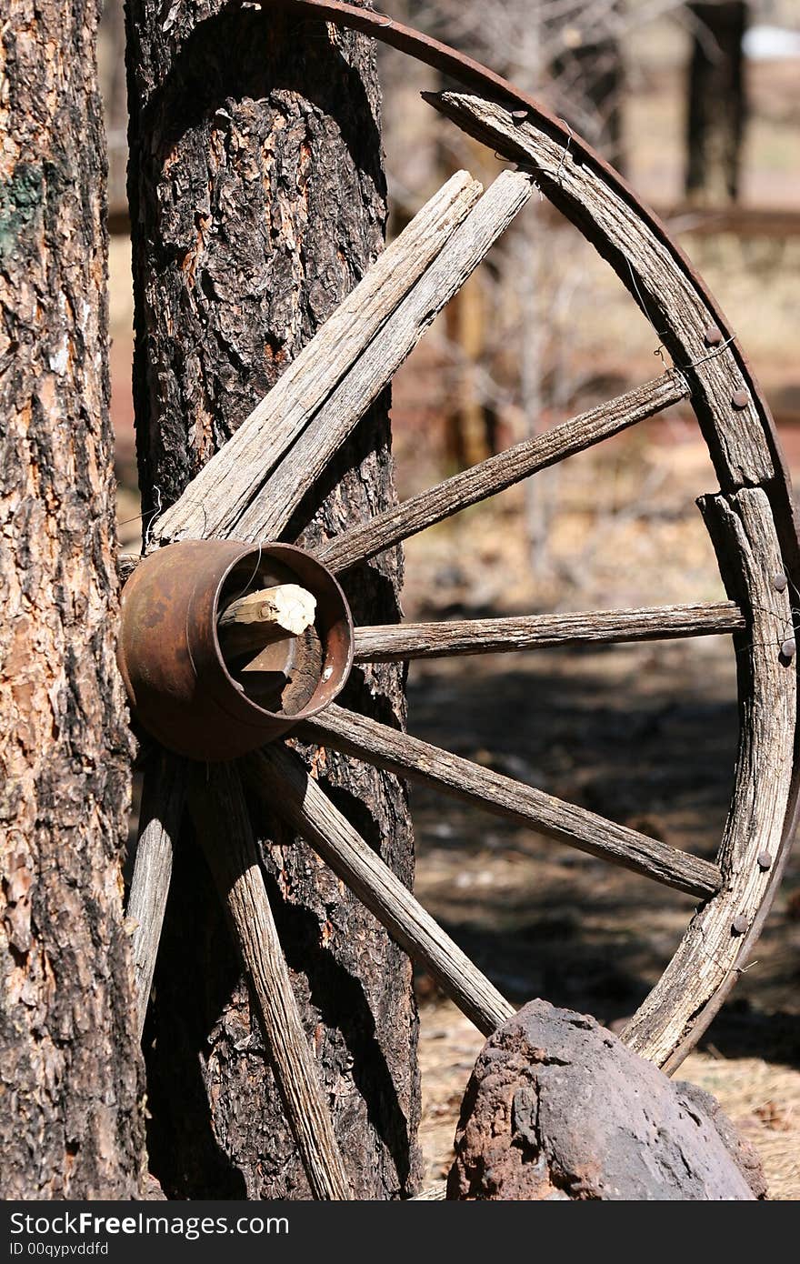 Old wagon wheel rests against a tree.