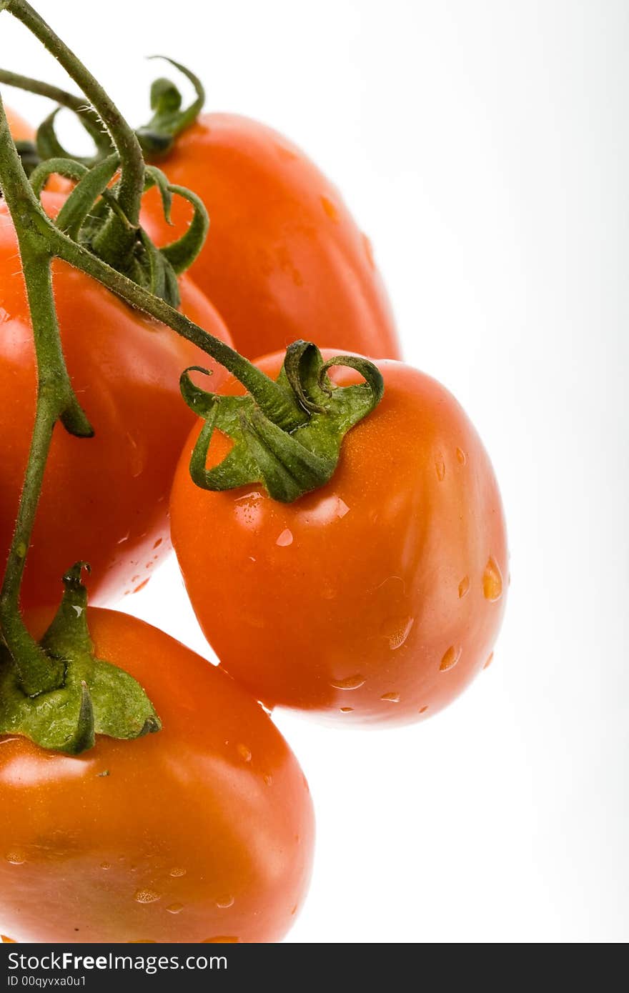 Isolated branch of red tomato on the white background. Isolated branch of red tomato on the white background