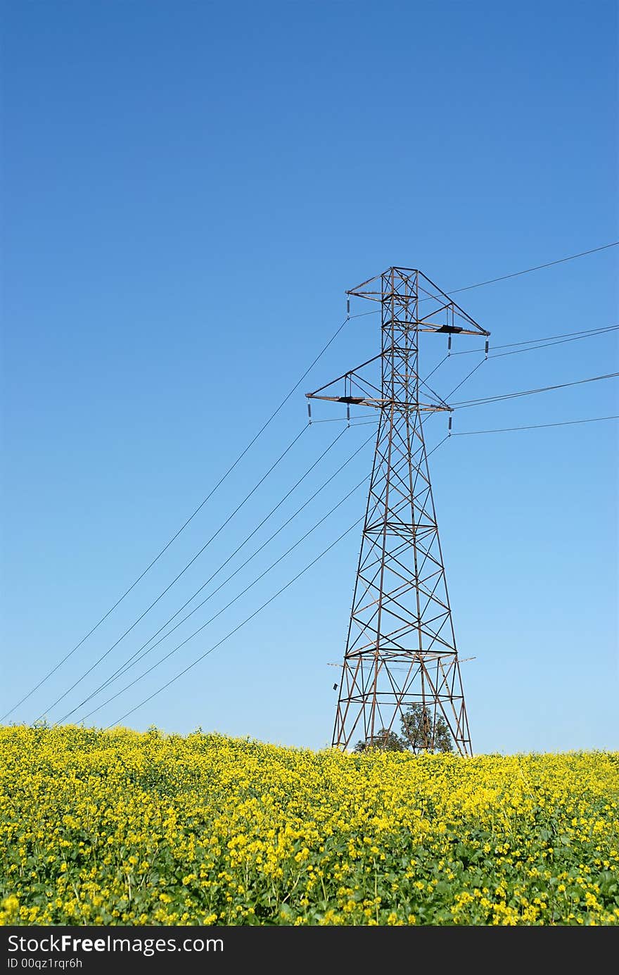 Vertical shot of a power line