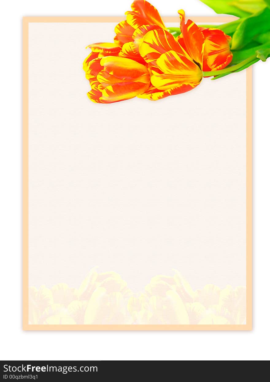 Paper With Tulips