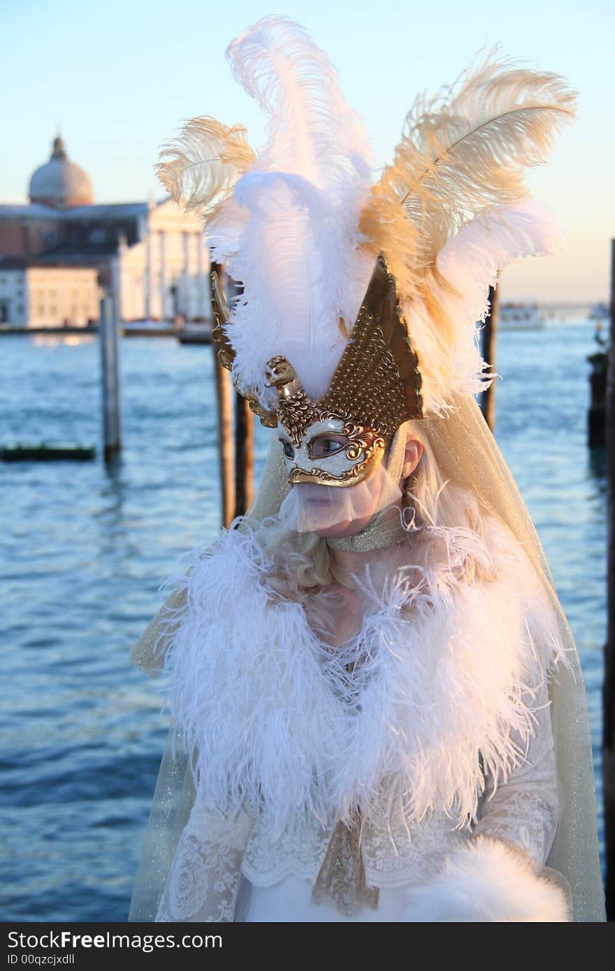 A carnival mask in venice