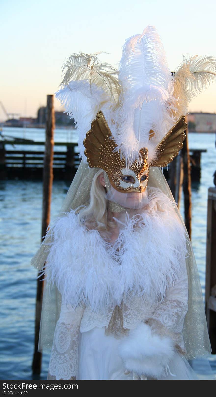 A carnival mask in venice