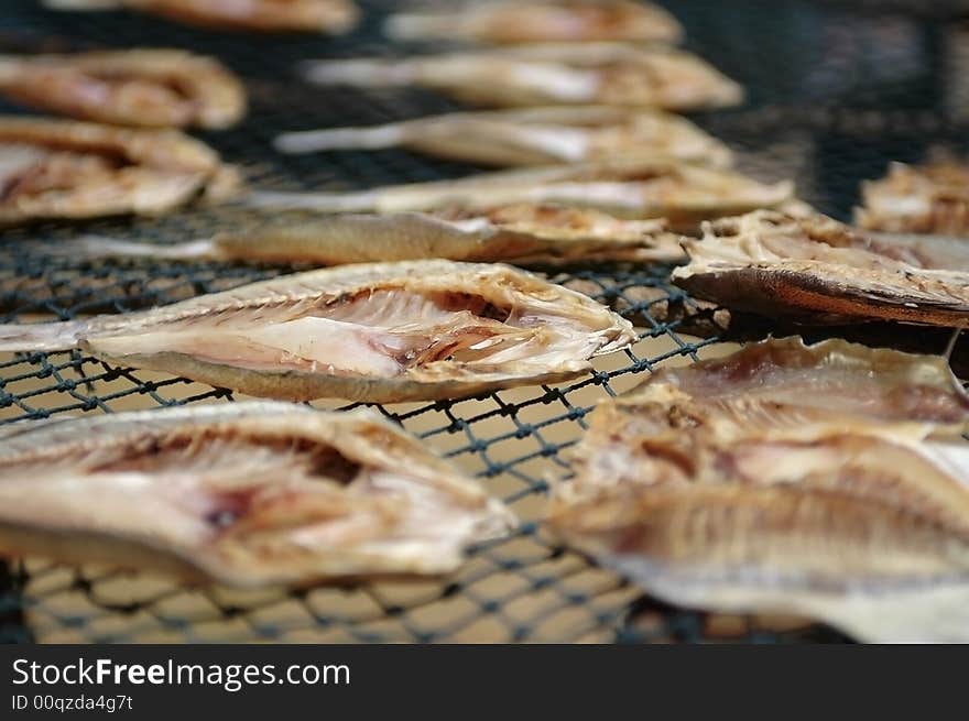 Close up of fish drying in the sun. Close up of fish drying in the sun