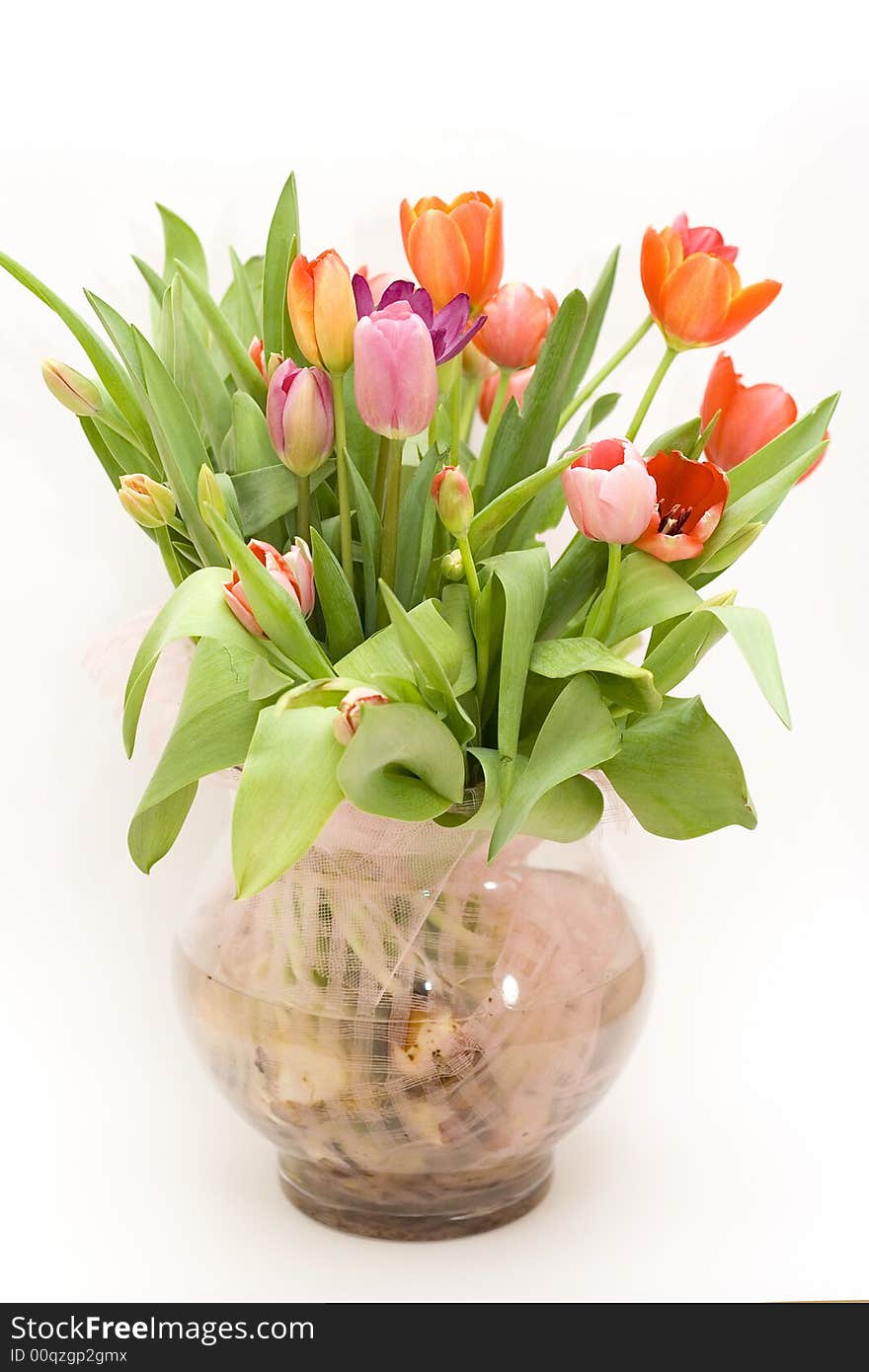 Bouquet Of Fresh Tulips In Vase