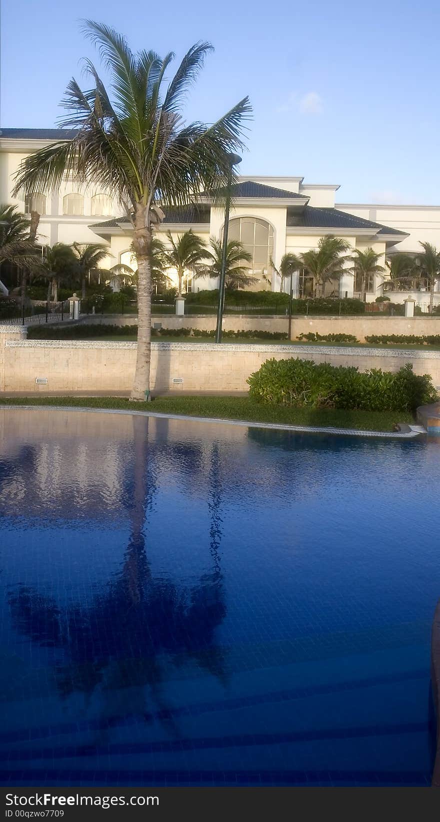 A large swimming pool at a luxury resort hotel with deep blue water and a palm tree reflected. A large swimming pool at a luxury resort hotel with deep blue water and a palm tree reflected