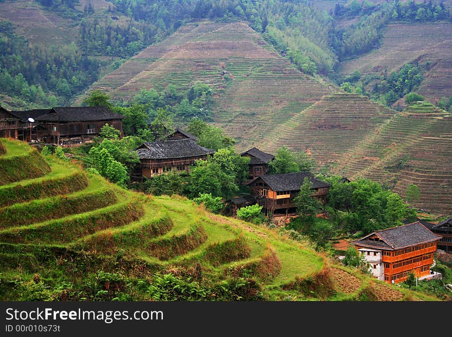 Terrace in longsheng,guilin, china