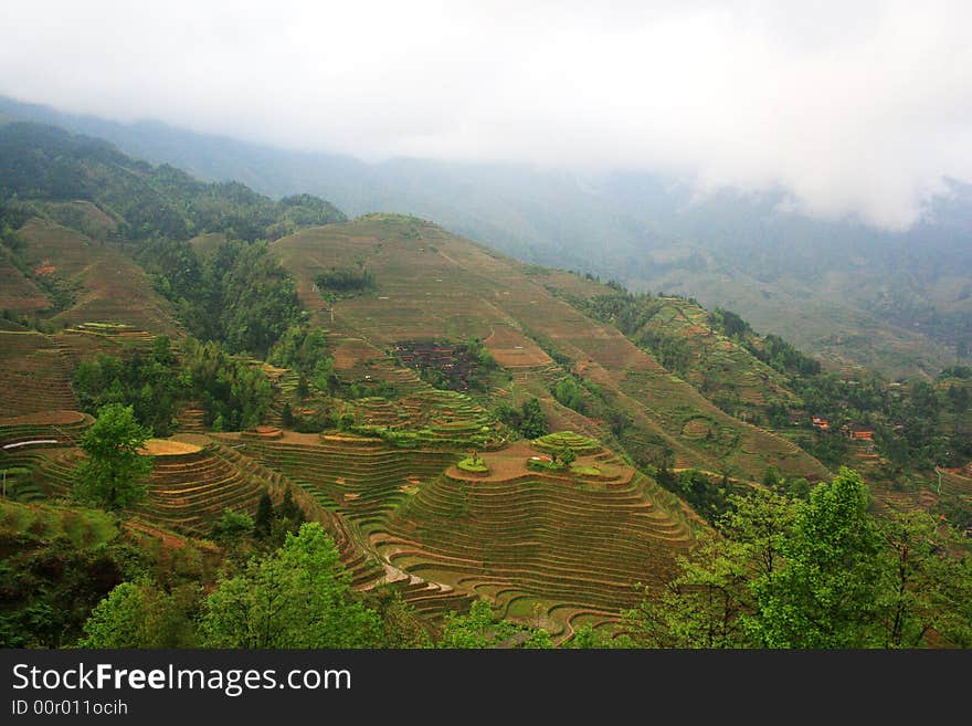 Terrace in longsheng,guilin, china