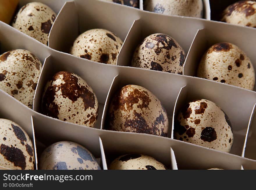 Pack of quail`s spotted eggs. Pack of quail`s spotted eggs.