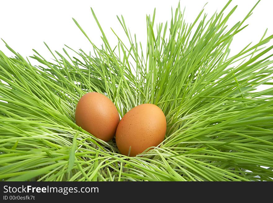 Easter Eggs In  Grass