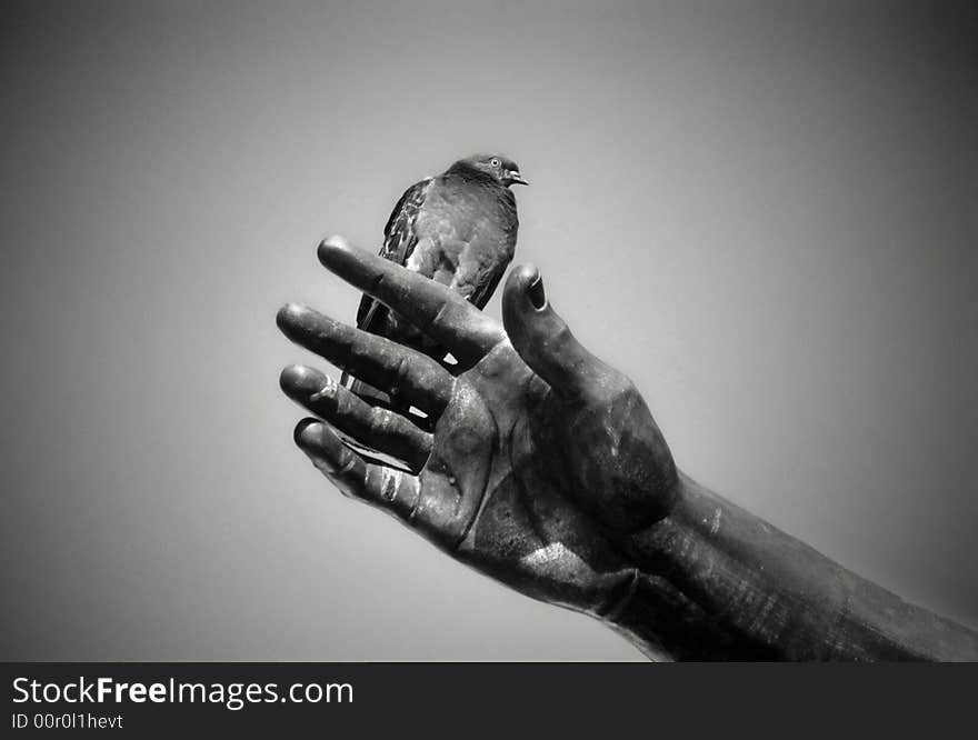 Pigeon on a sculpture's hand, Marcus Aurelius, Rome