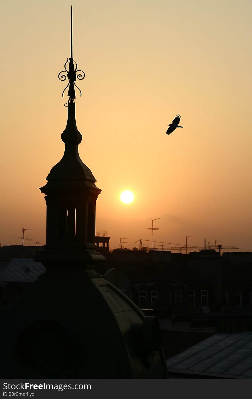 Roofs of the Saint-Petersburg city. Sunset. Roofs of the Saint-Petersburg city. Sunset.