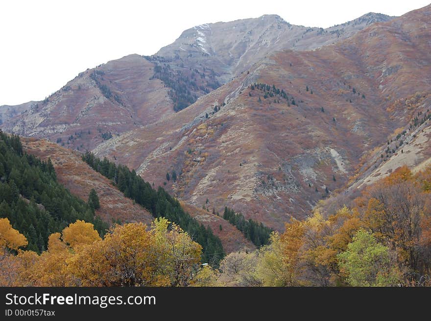 Utah fall Season turning colors. Utah fall Season turning colors.