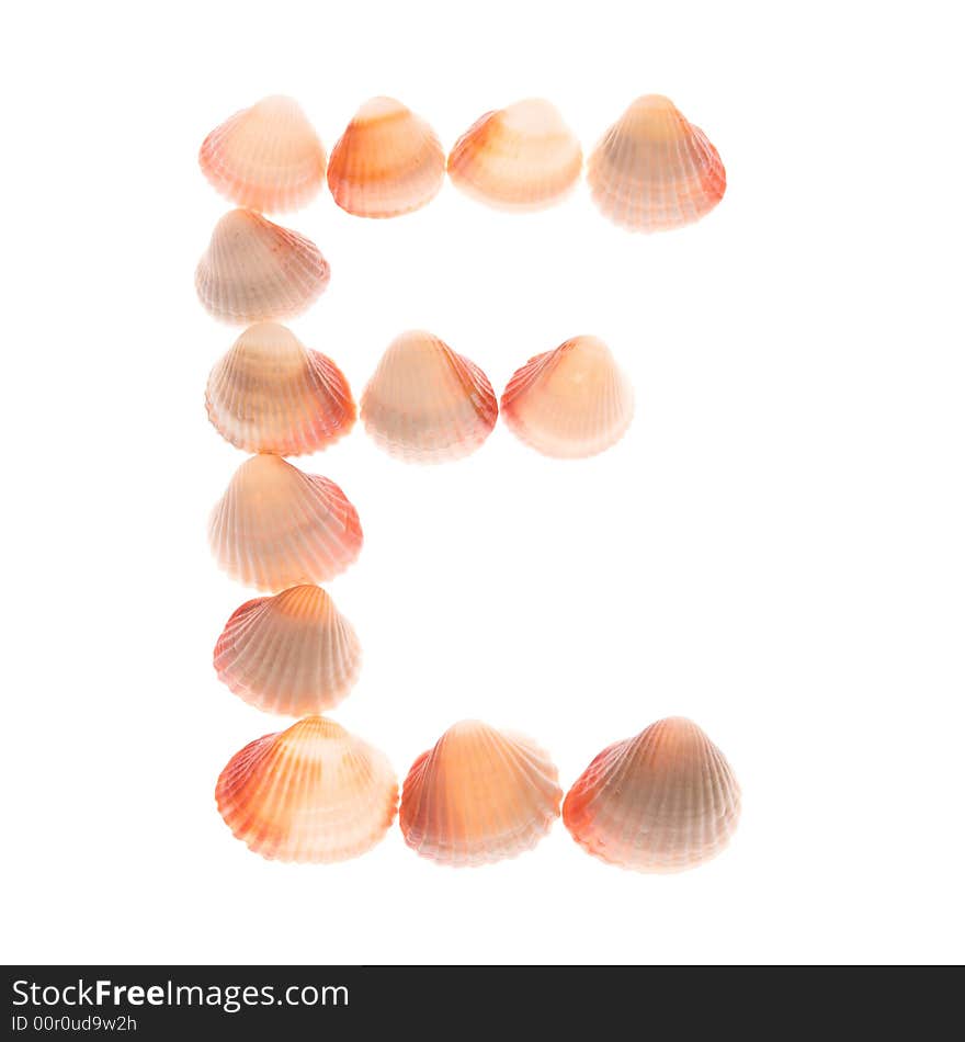 Shell letter E, white background, isolated