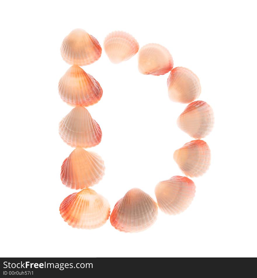 Shell letter D, white background, isolated