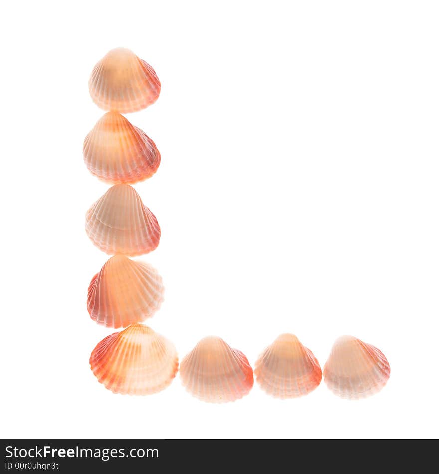 Shell letter L, white background, isolated