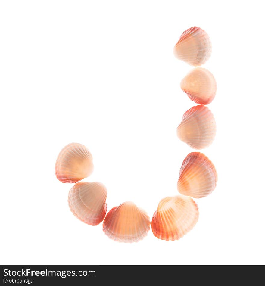 Shell letter J, white background, isolated