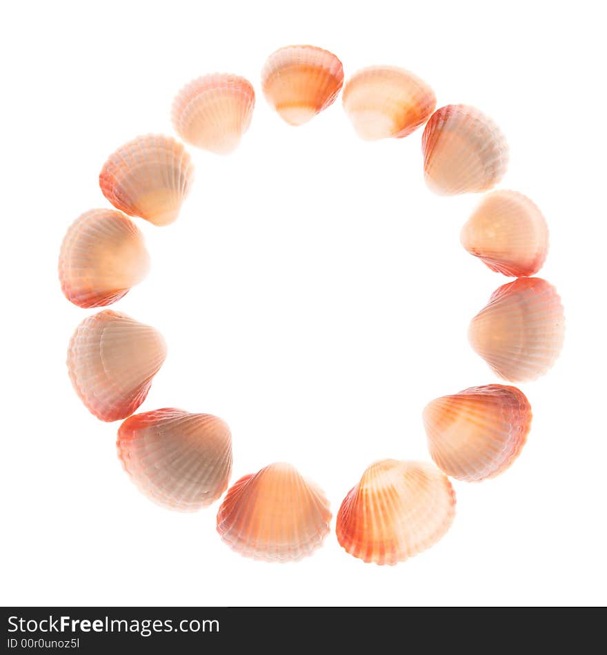 Shell letter O, white background, isolated