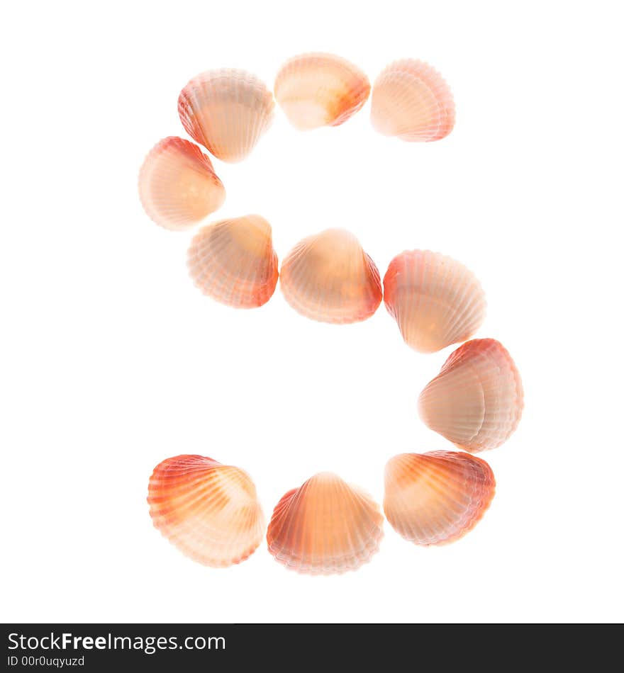 Shell letter S, white background, isolated