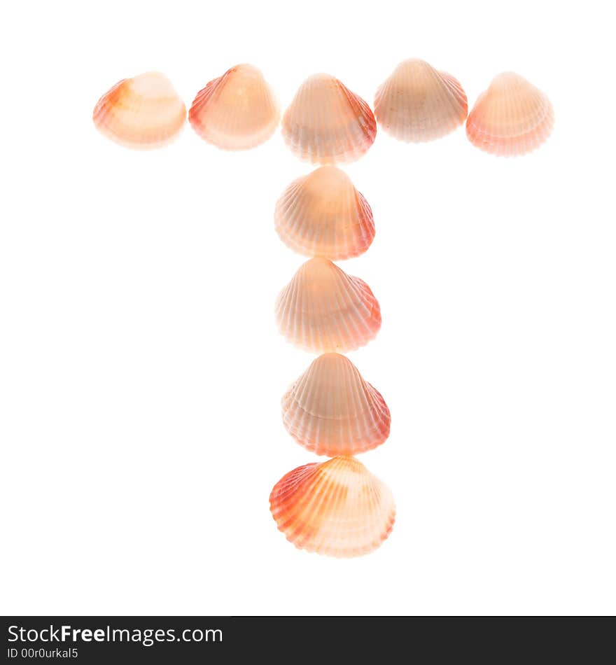 Shell letter T, white background, isolated