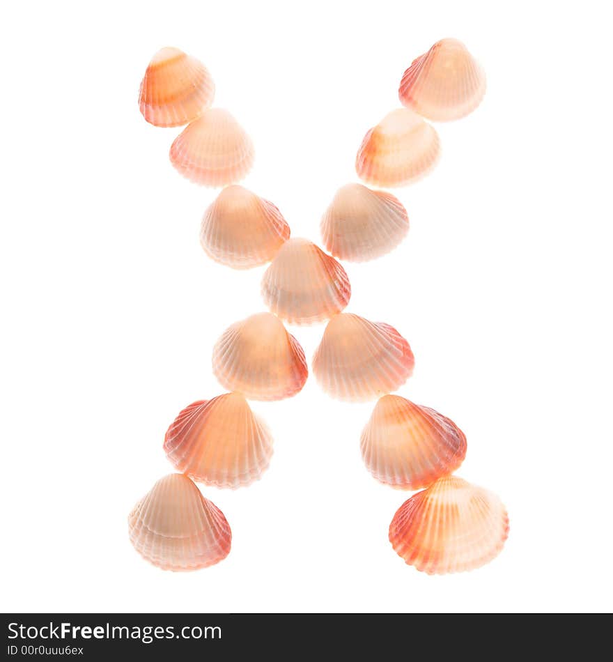 Shell letter X, white background, isolated