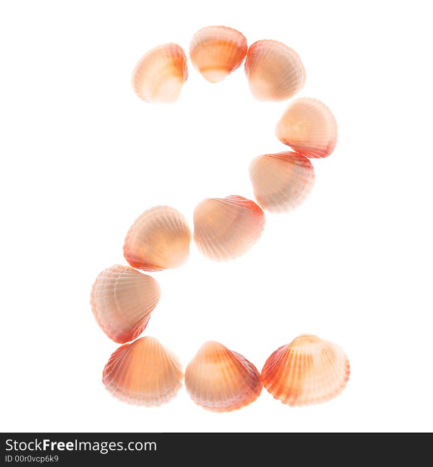 Shell number 2, white background, isolated