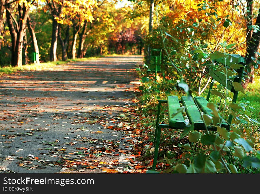 A very beautiful colored park. A very beautiful colored park