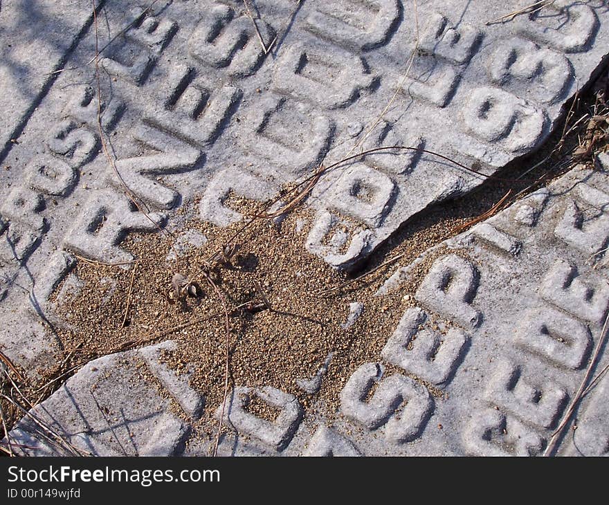 Old fallen cracked gravestone with anthill. Old fallen cracked gravestone with anthill.