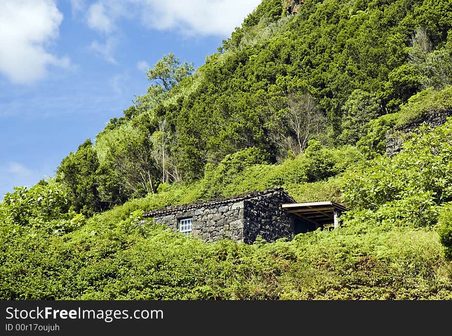 Stone house hidden in the middle of the forest