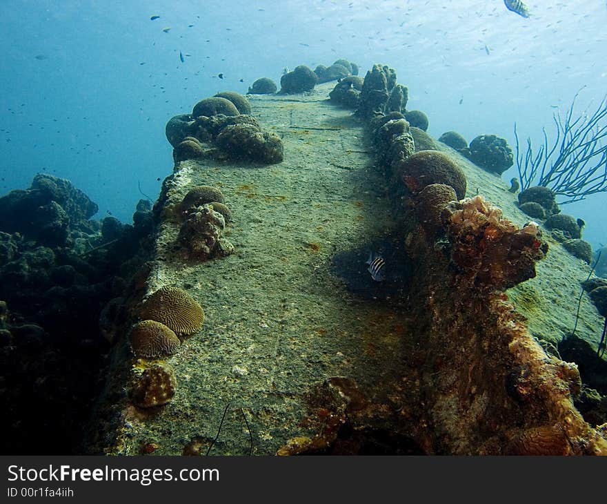 Small Wreck On Bonaire