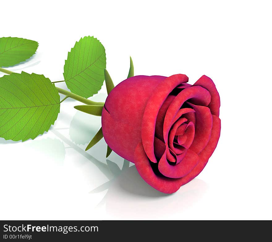 Roses For Great Celebrations