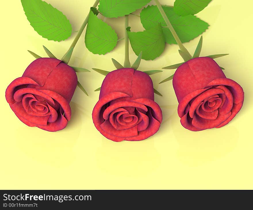 Roses for great celebrations